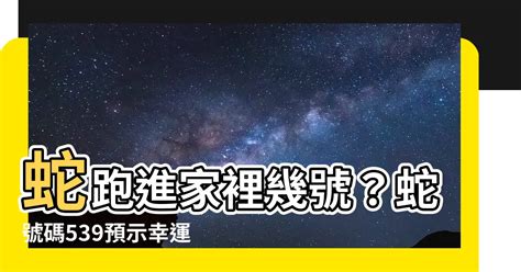 有蛇跑進家裡|家裡有蛇代表什麼？5種吉兆解析